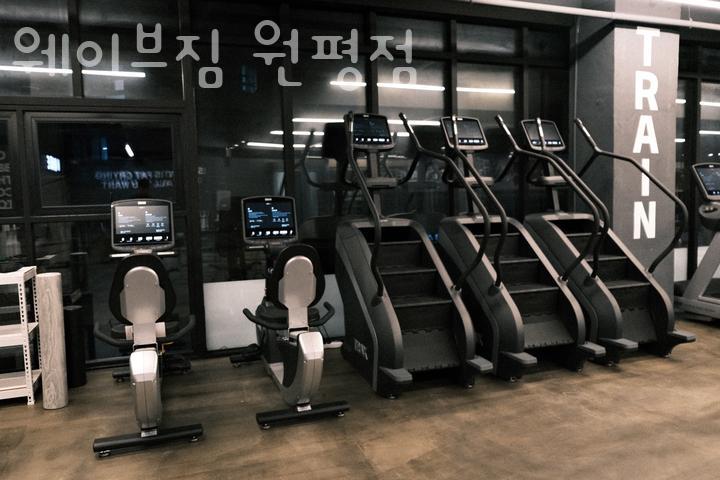 웨이브짐 이미지