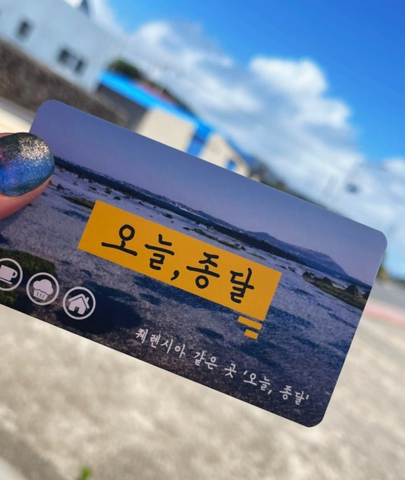 오늘종달 이미지
