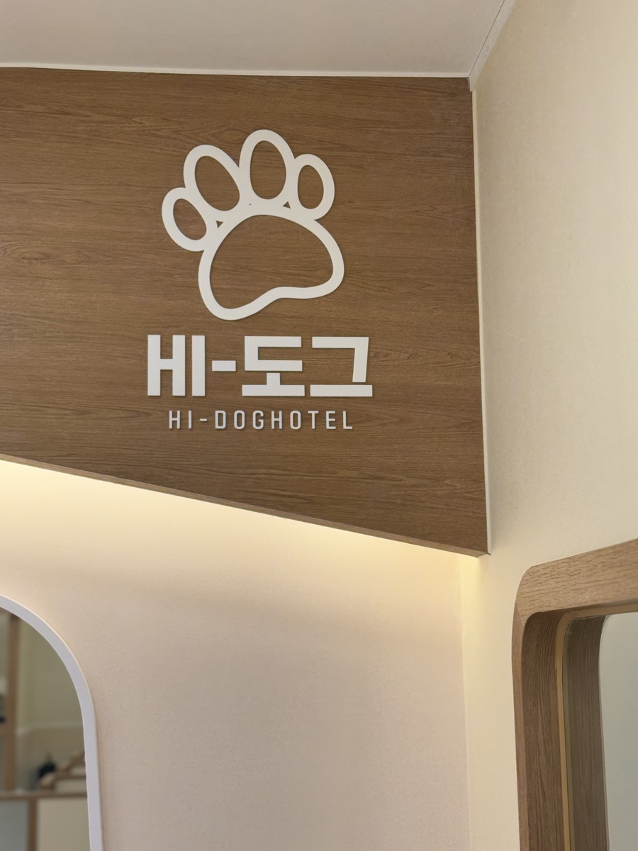 하이도그 이미지