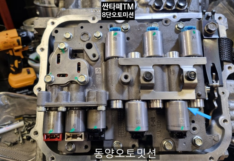 동양오토밋션 이미지