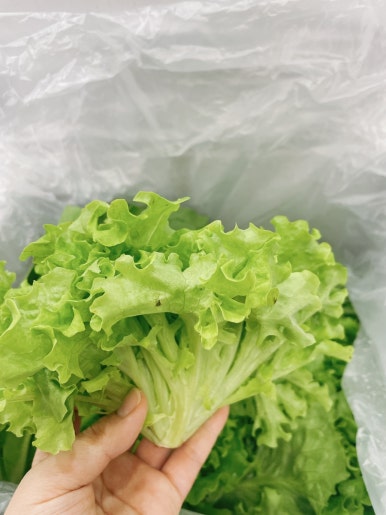농업회사법인(주)안심 이미지