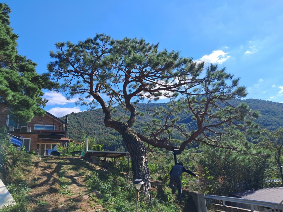우방조경식물원 이미지