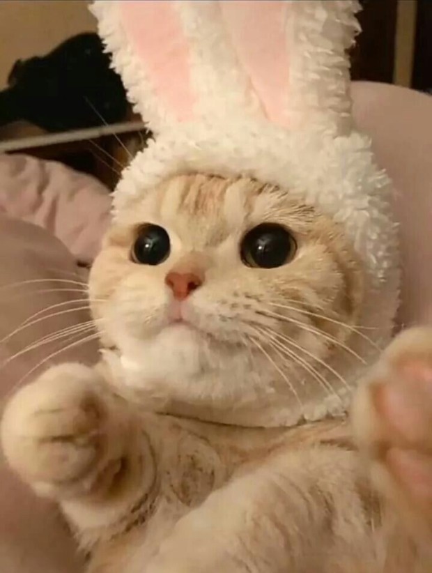 하이데이 이미지