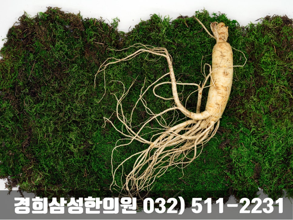경희장생한의원 이미지