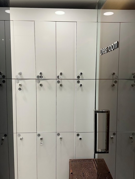 팜프헤어 이미지