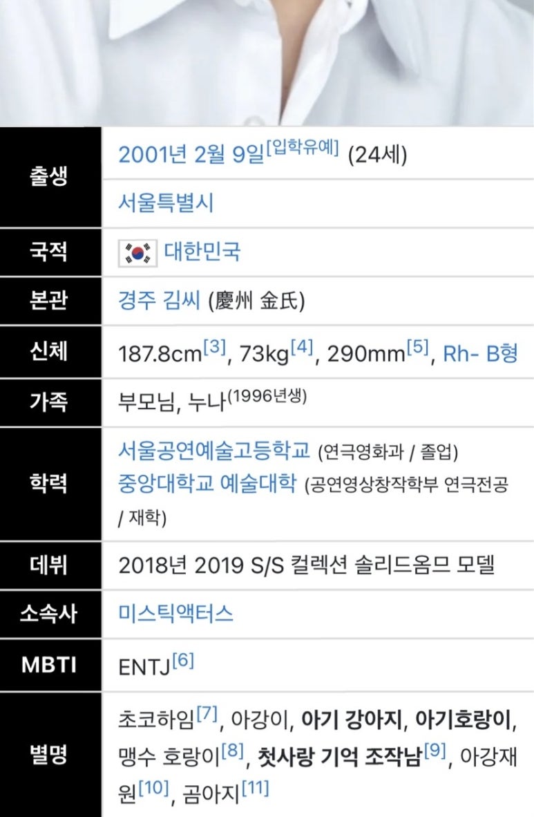 버블 이미지
