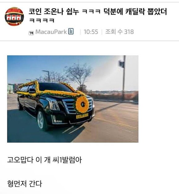 커라 이미지