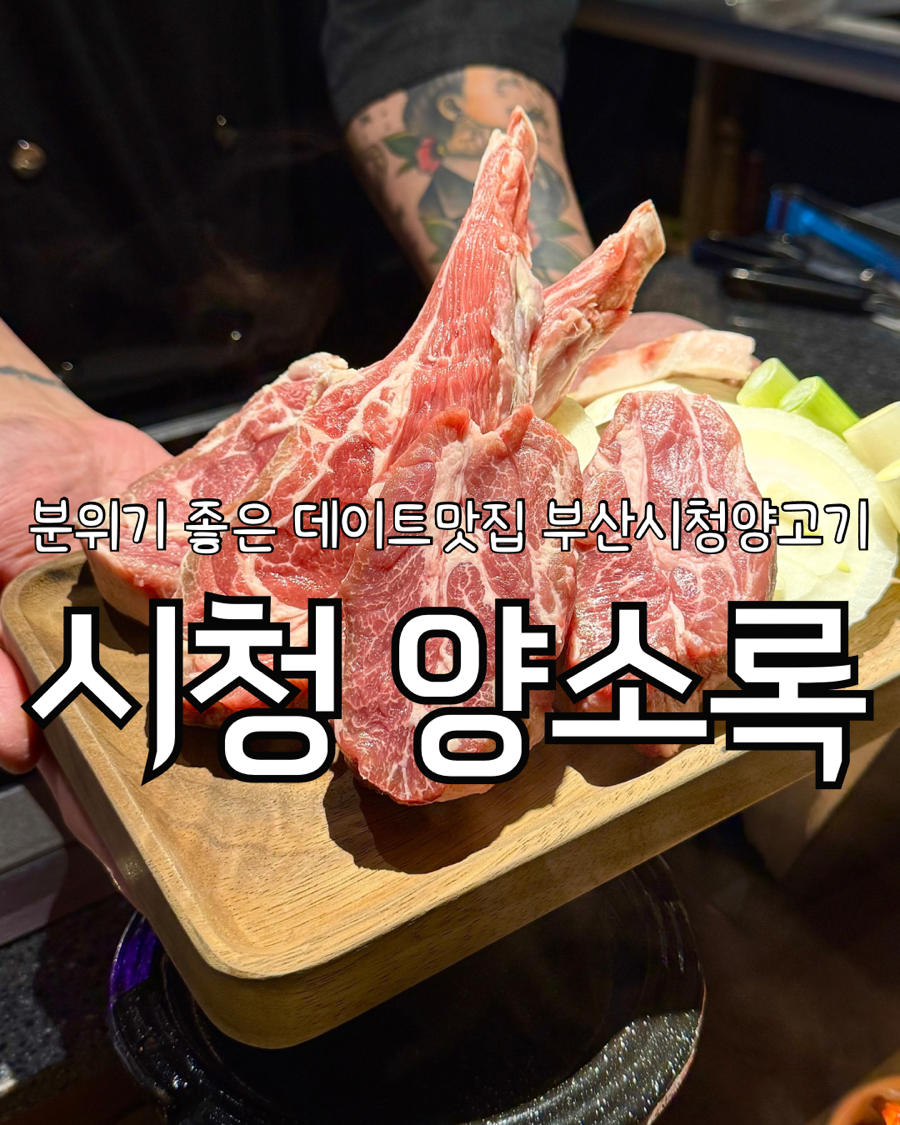 양소록 이미지