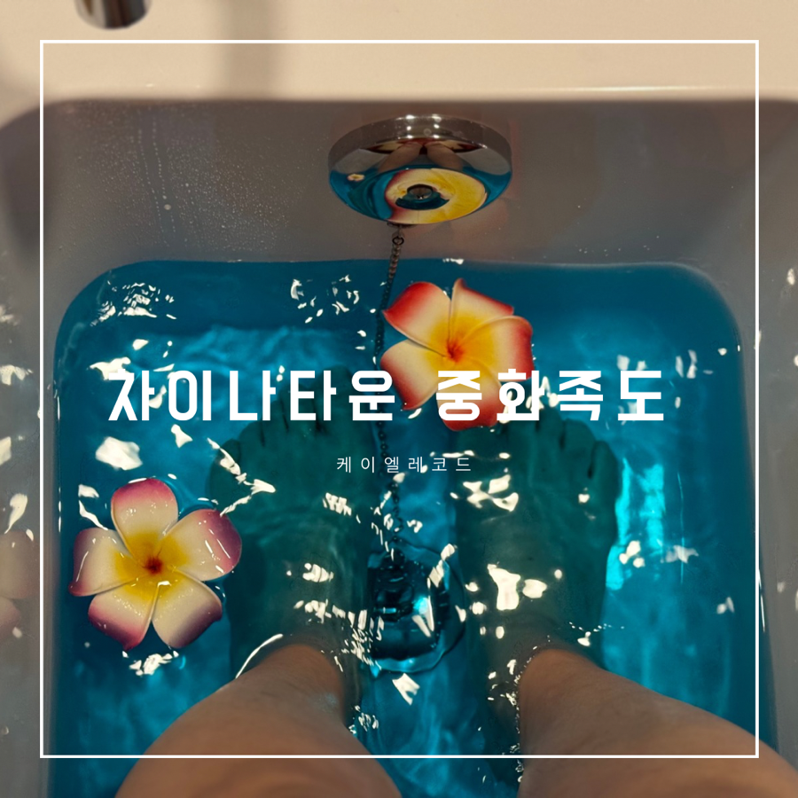 중화족도 이미지