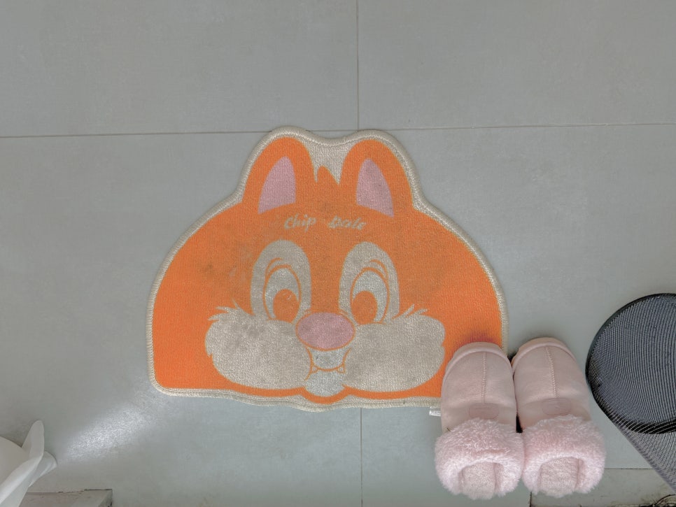 루나래쉬 이미지