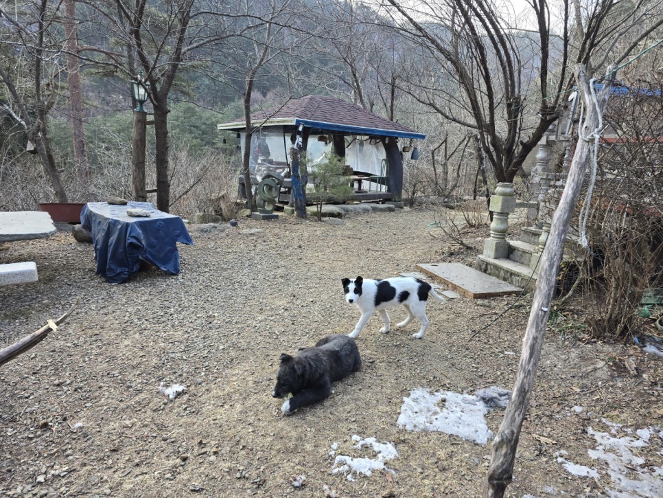 산골이야기 이미지