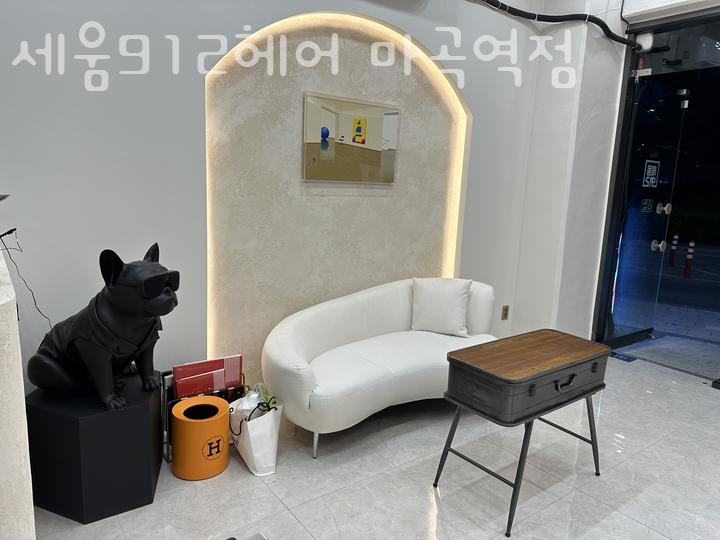 세움헤어 이미지