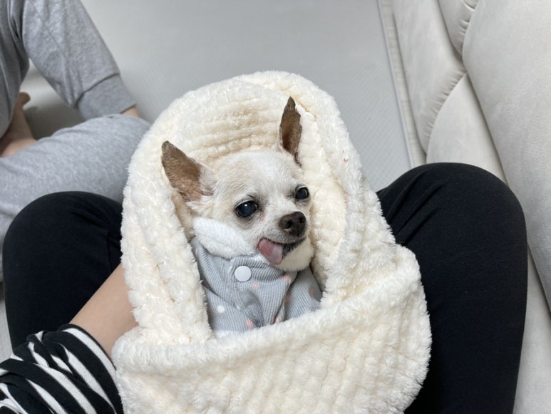 알비 이미지