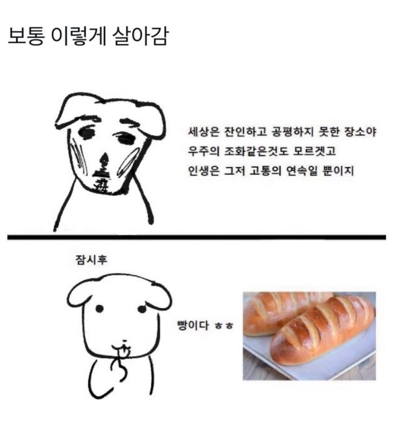 우리의케이크 이미지