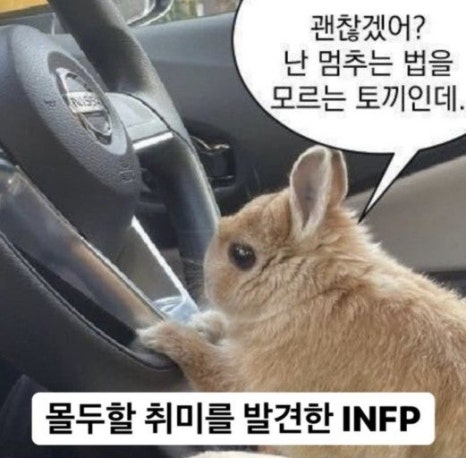 (주)라이프엔 이미지