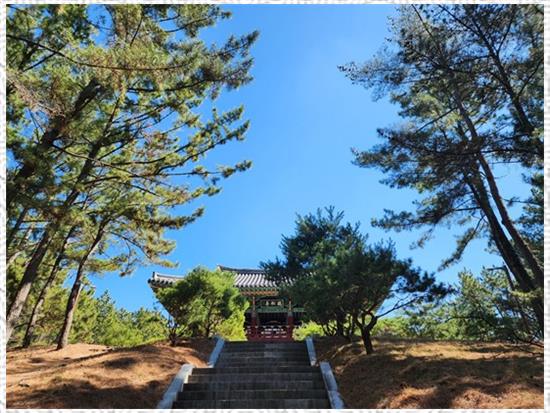 매화아씨 이미지