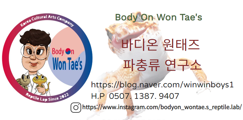 테라리움연구소 이미지