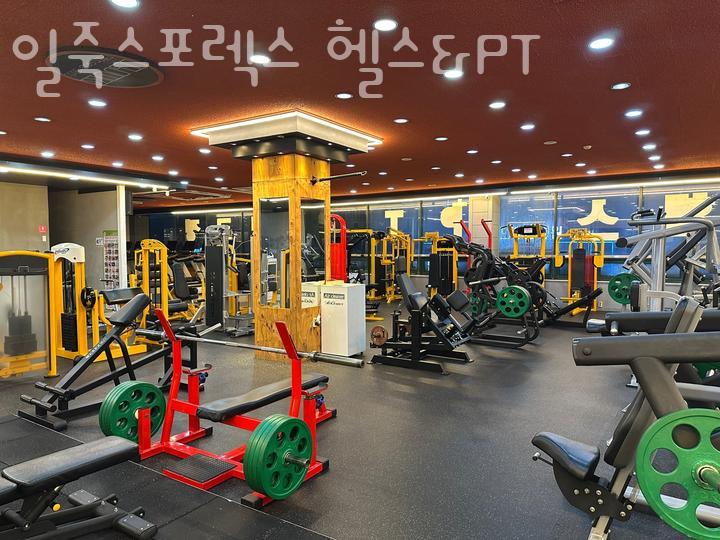 일죽스포렉스 이미지