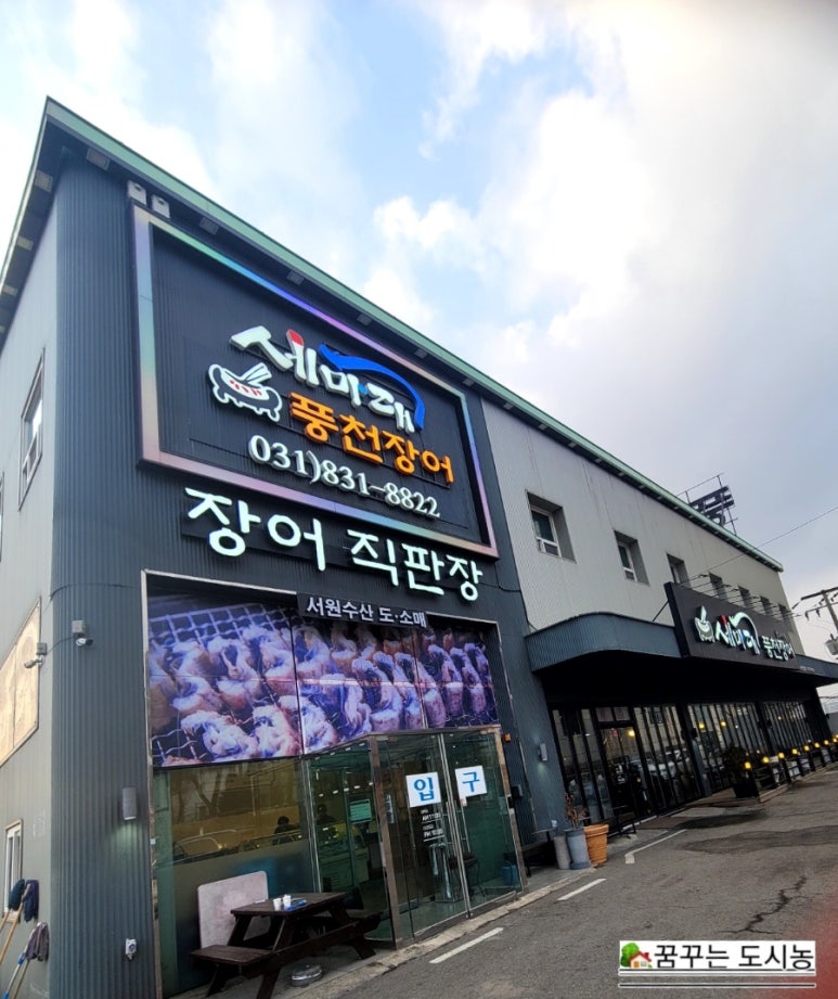 세마대풍천장어 이미지