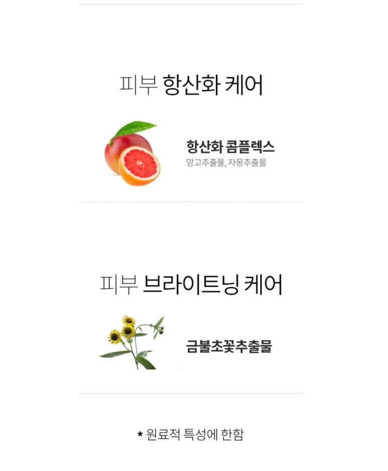 코어앤두 이미지