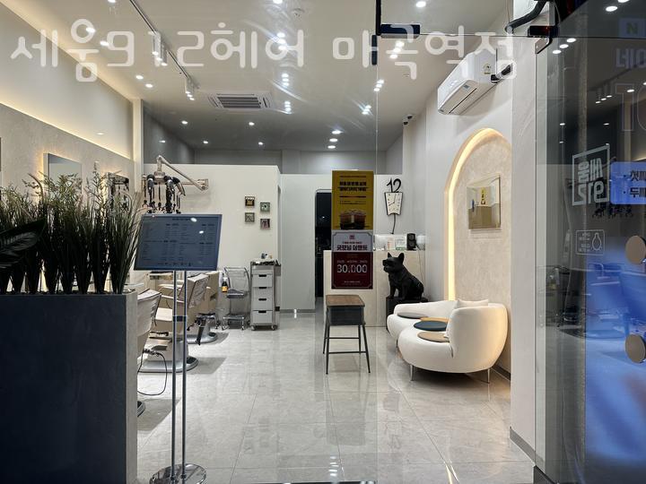 세움헤어 이미지