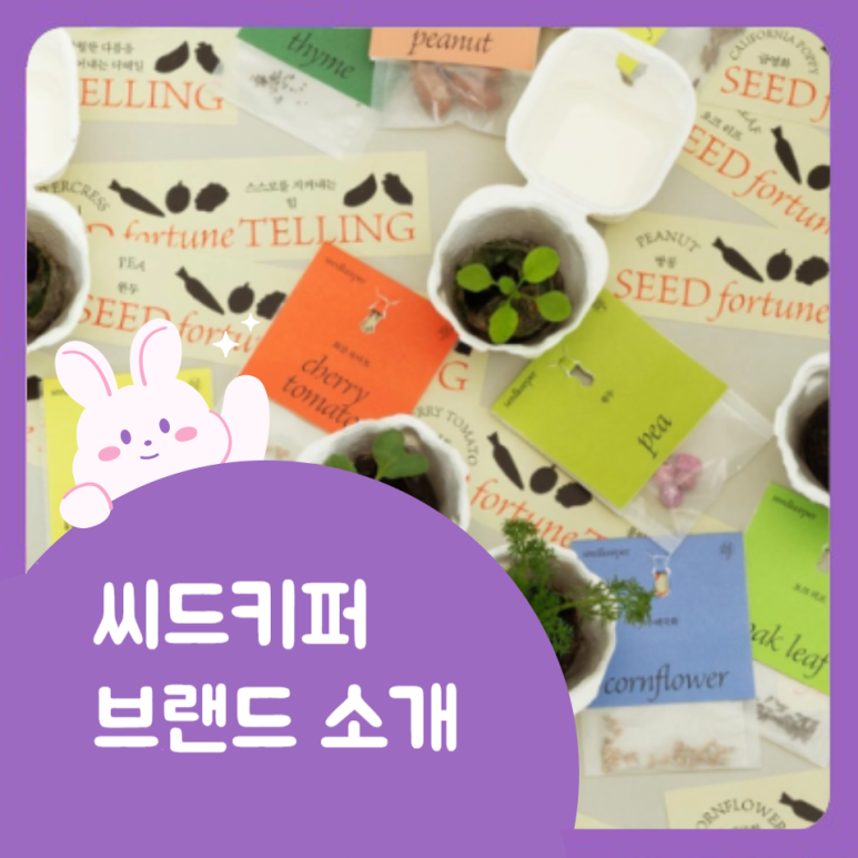 씨드키퍼 이미지
