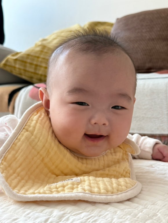 소이조이 이미지
