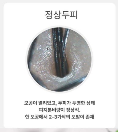 샴푸미용실 이미지