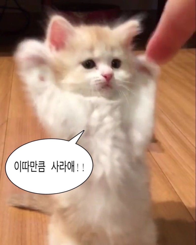 24시 미아 감자탕 이미지