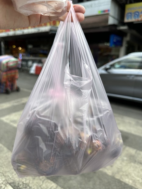 코끼리투어 이미지