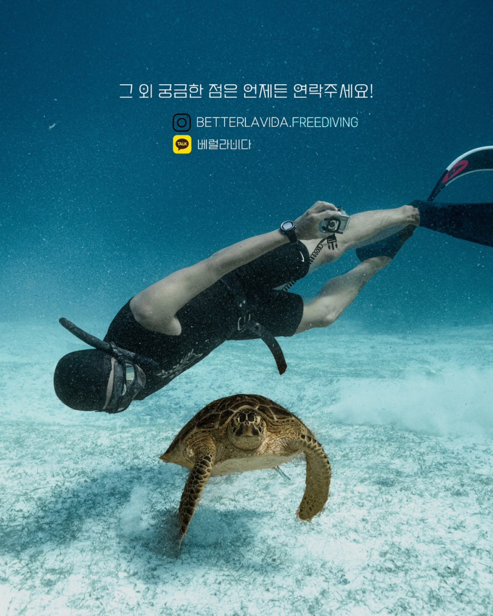 카카오_프리다이빙 이미지
