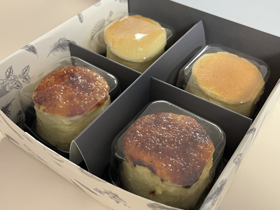 치플레 이미지