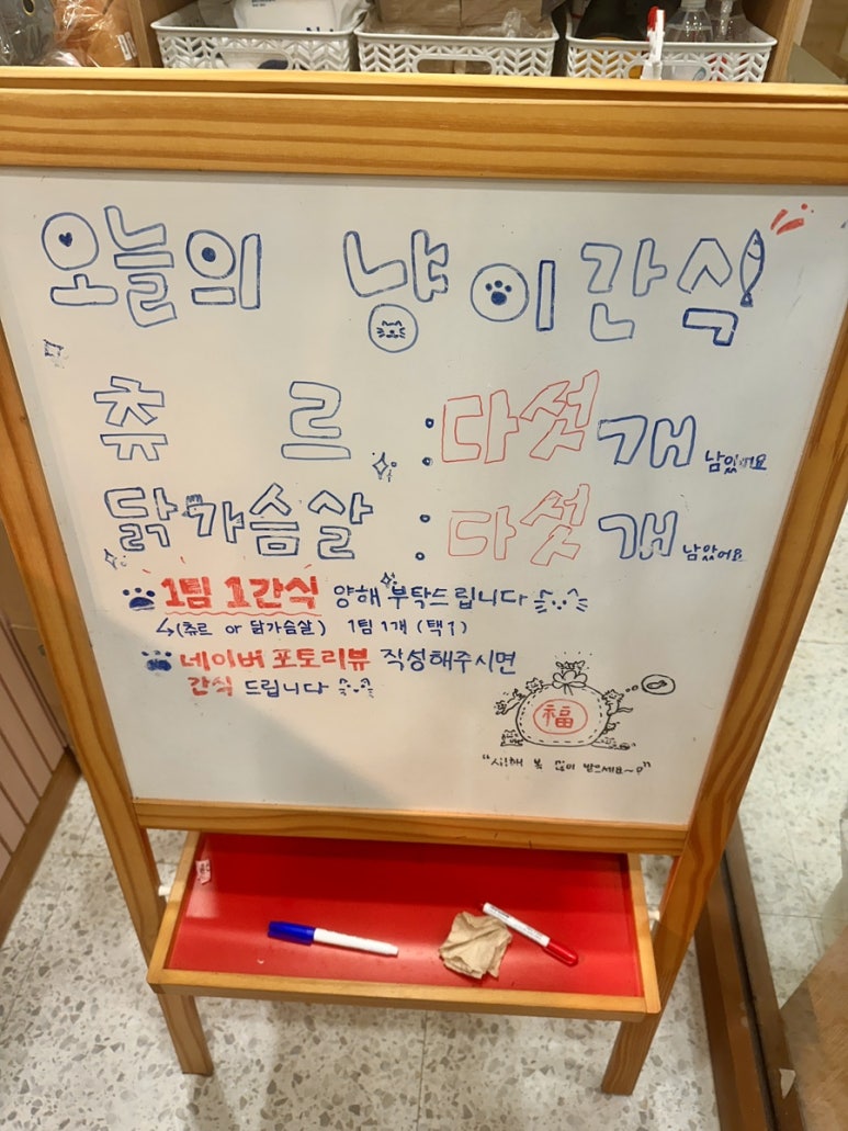 냥이싸롱 이미지