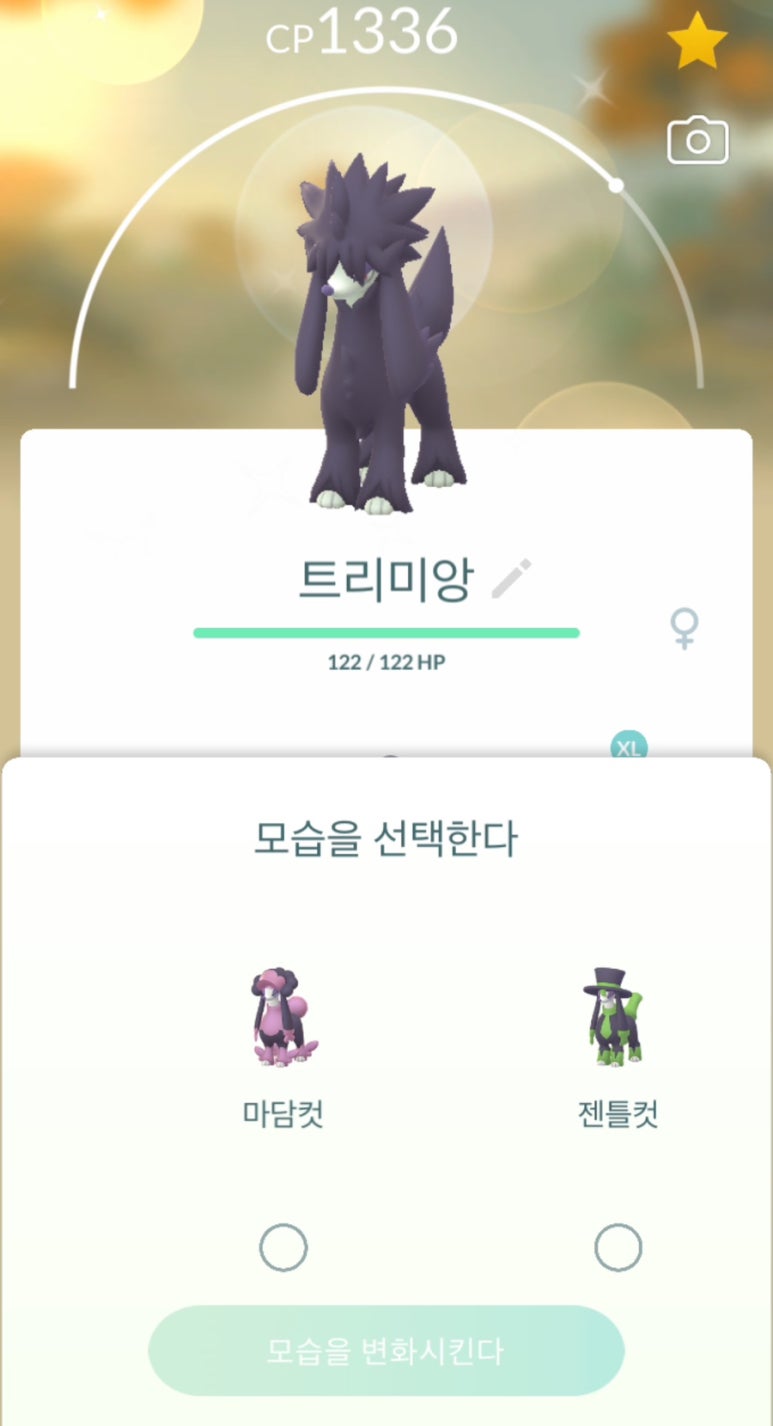스타트레이드 이미지