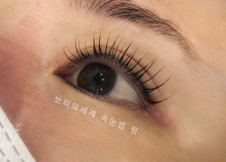 쏘피의 세계 이미지