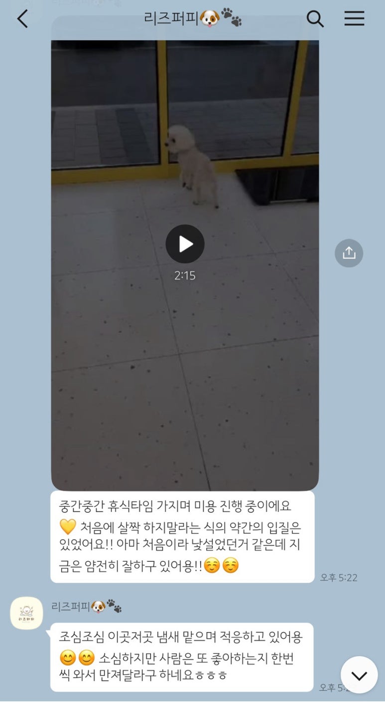 리즈더샵 이미지