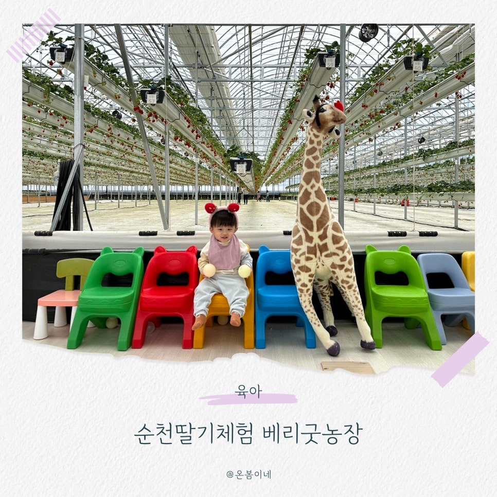 베리굿체험농장 이미지