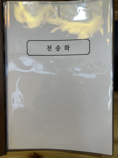 천송화 이미지