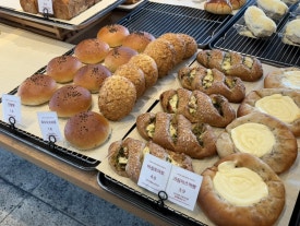 루디꼬(rudico) 이미지
