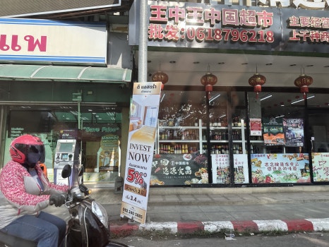 코끼리투어 이미지
