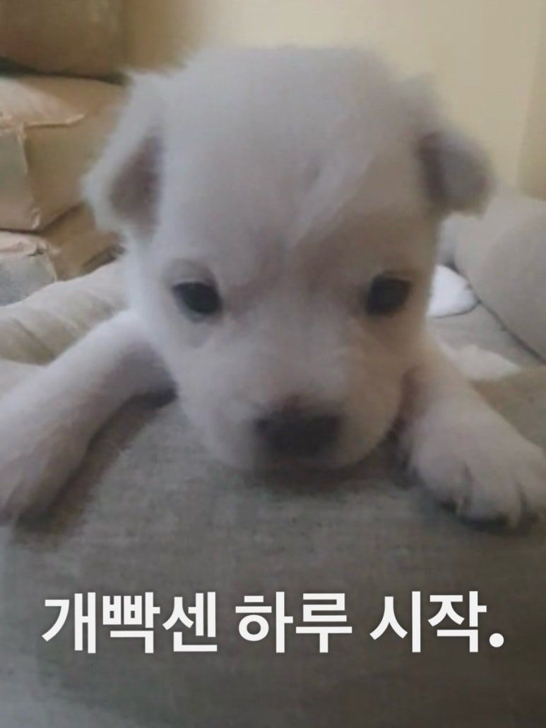 없음 이미지