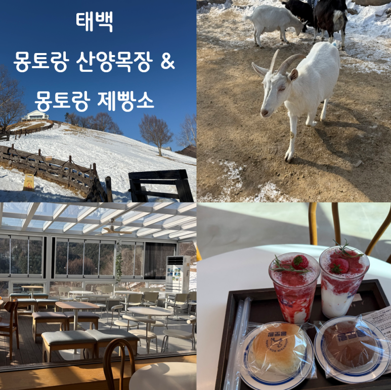 초지가방 이미지
