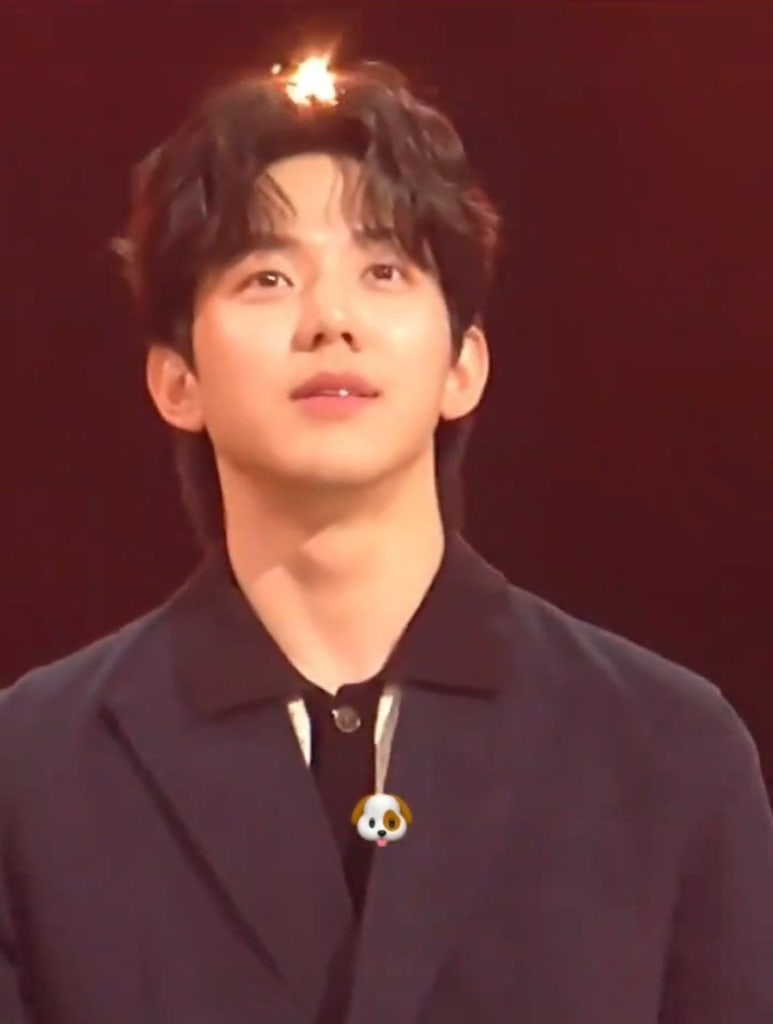라인컷 이미지