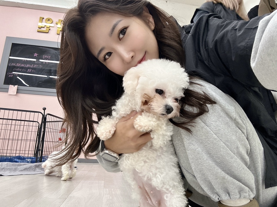 디바인헤어 이미지