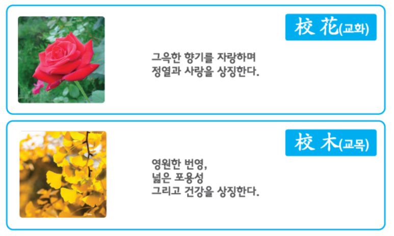 덕일전자공업고등학교 이미지
