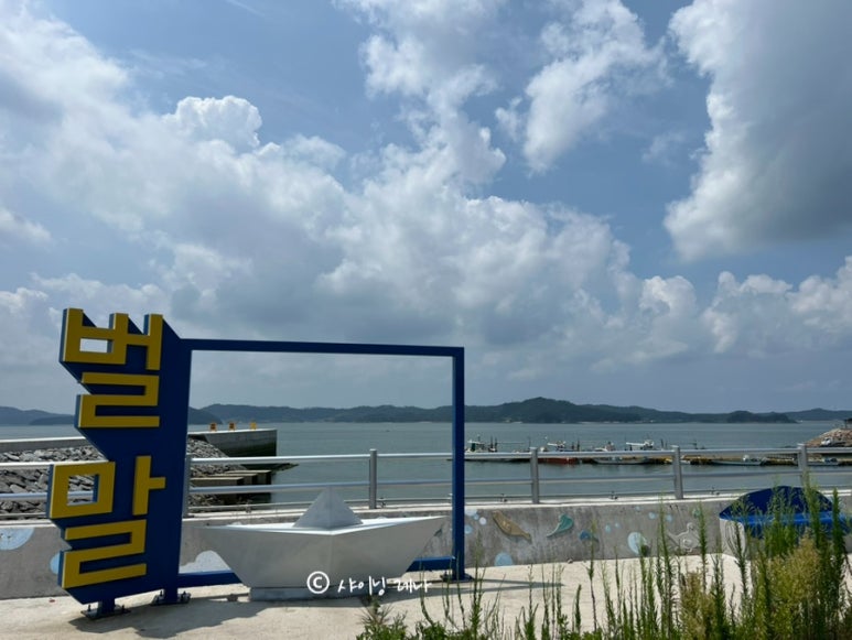 선창감태칼국수 이미지