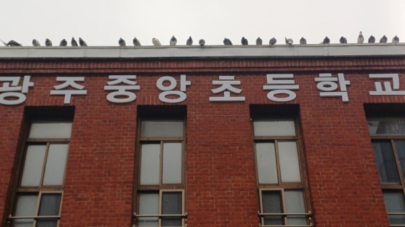 광주중앙초등학교 이미지