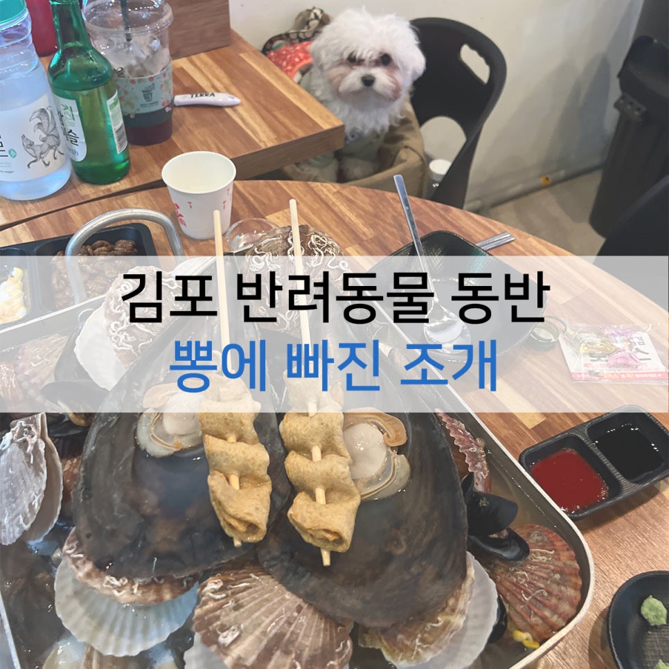 뽕에빠진조개 이미지