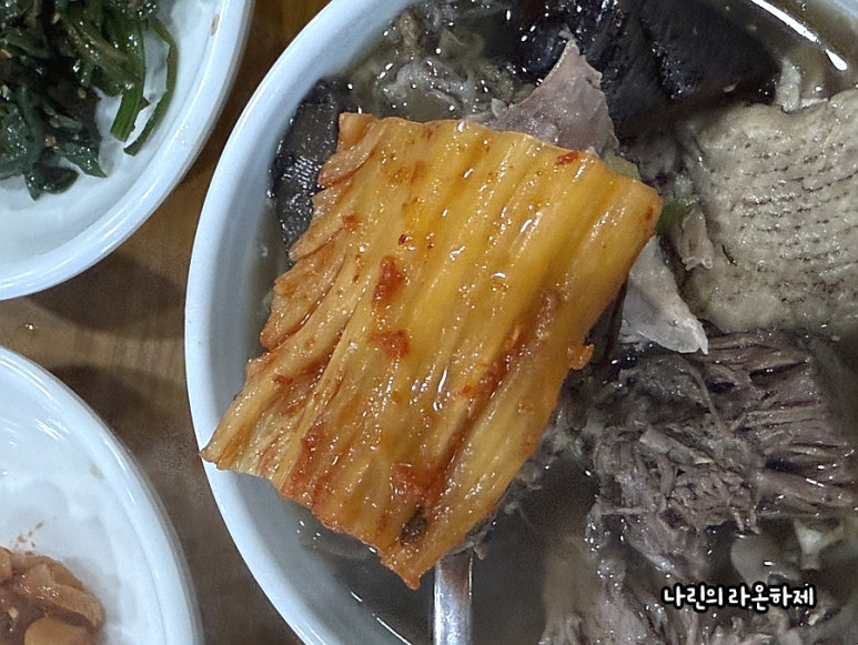송다원 이미지