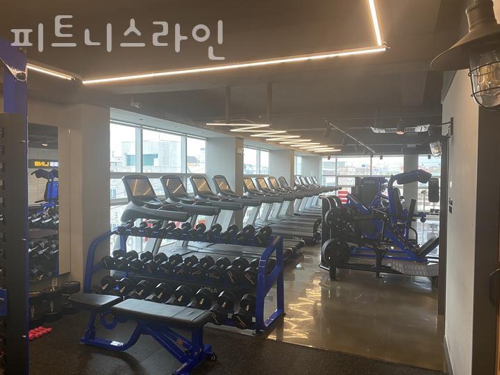 피트니스라인 이미지